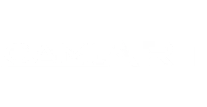 partners who work with Papayagaming